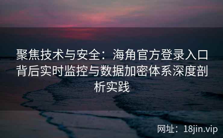 聚焦技术与安全：海角官方登录入口背后实时监控与数据加密体系深度剖析实践