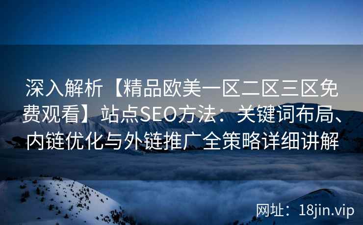 深入解析【精品欧美一区二区三区免费观看】站点SEO方法：关键词布局、内链优化与外链推广全策略详细讲解